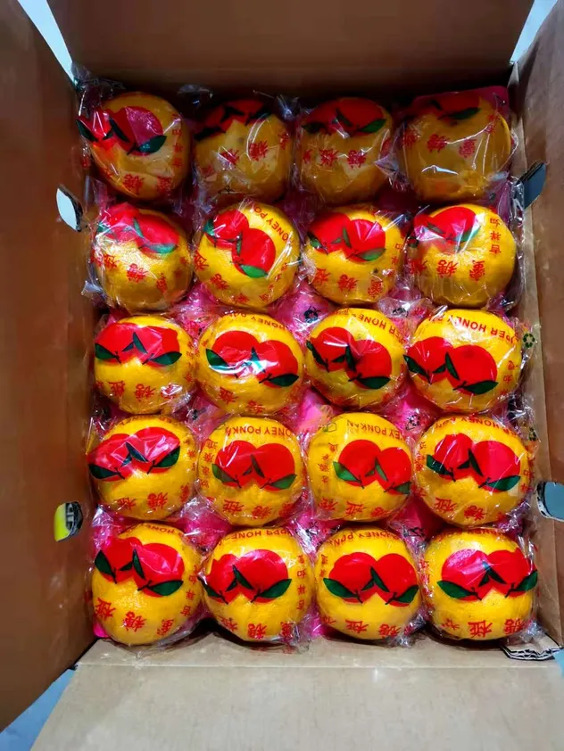 Fresh Sweet Mandarin Tangerine Oranges From China