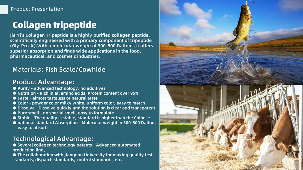 Premium Hydrolyzed Marine Collagen Powder for Skin Health