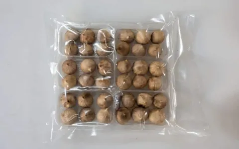 Customized Packaging Single Grain Multi Clove Black Garlic for Food Processing