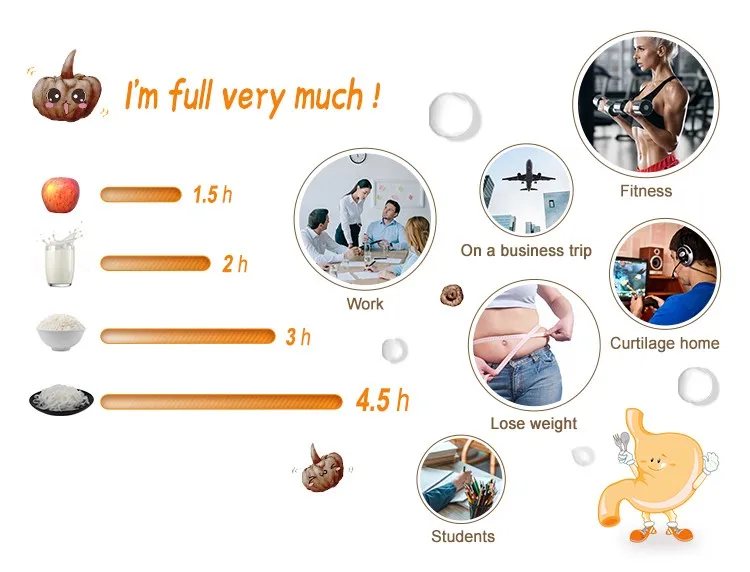 Hethstia Chinese Organic Konjac Root Tofu Keto Konnyaku Skinny Pasta Spaghetti Fettuccine Shirataki White Yam Konjac Jelly Penne Dried Noodles for Weight Loss