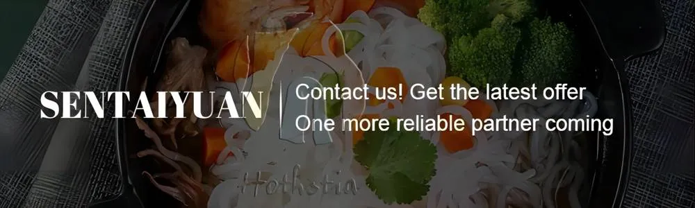 Hethstia Chinese Organic Konjac Root Tofu Keto Konnyaku Skinny Pasta Spaghetti Fettuccine Shirataki White Yam Konjac Jelly Penne Dried Noodles for Weight Loss