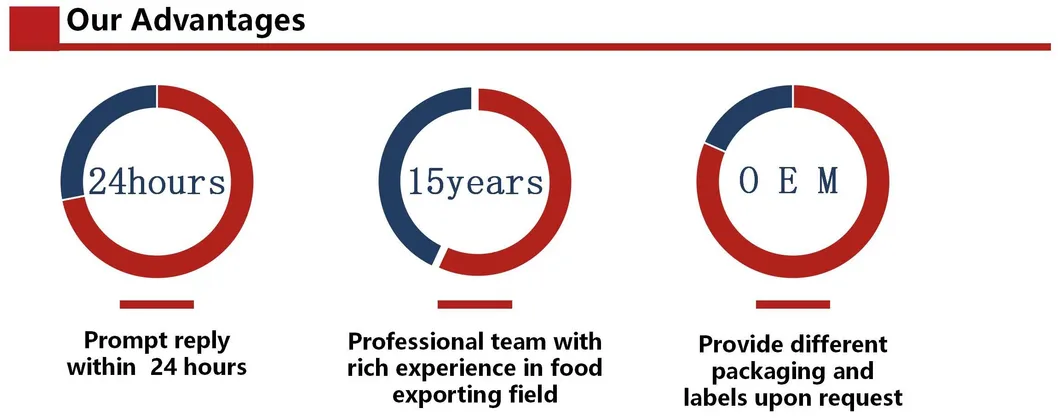 Premium Halal Duck Griller - Frozen Duck for Gourmet Cooking