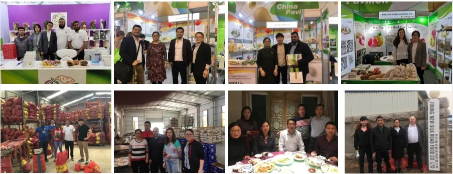 Fresh Orange China Fresh Fruit