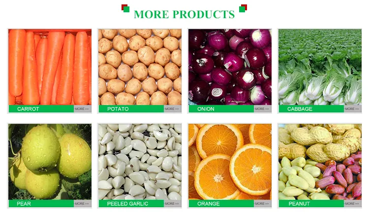 Fresh Orange China Fresh Fruit