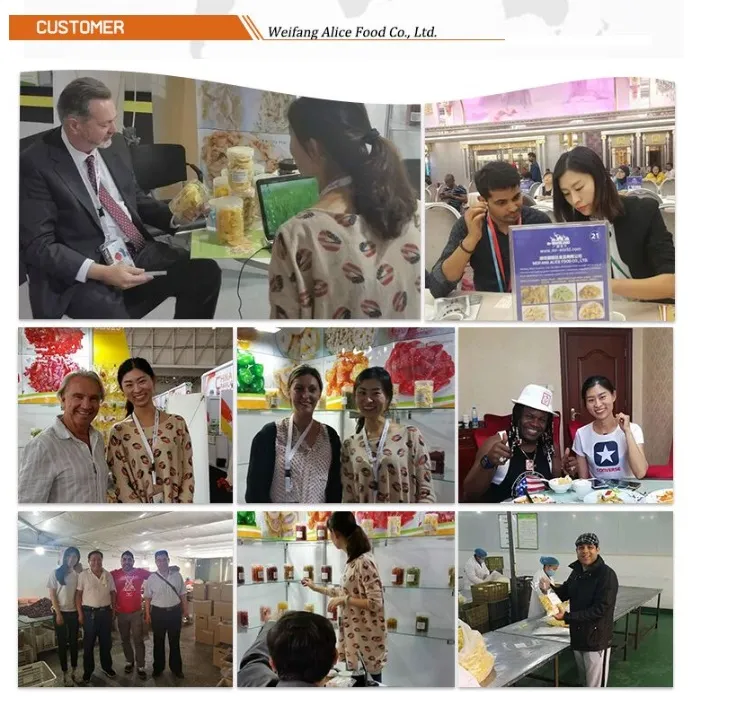 Wholesale High Quality with Low Sugar Natural Dried Pineapple Fruit