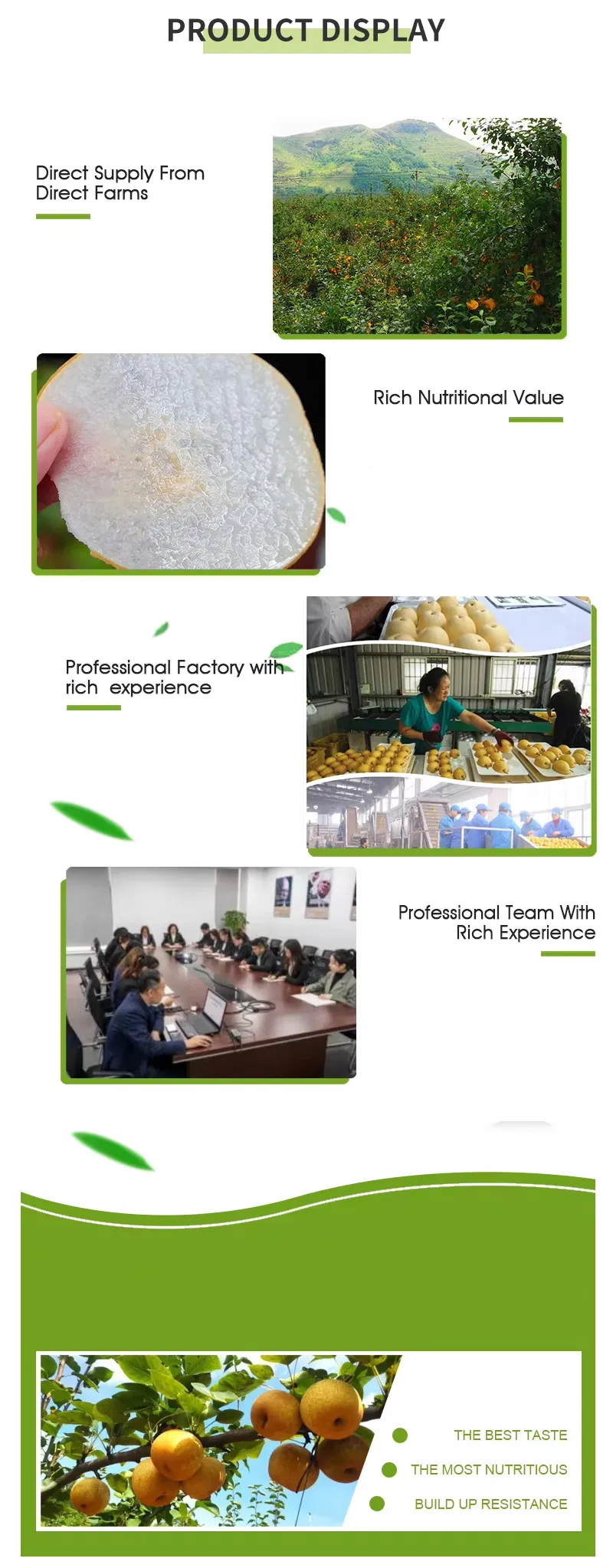 Suppliers Wholesale Sweet Juicy Crisp Fresh Pear for Sale