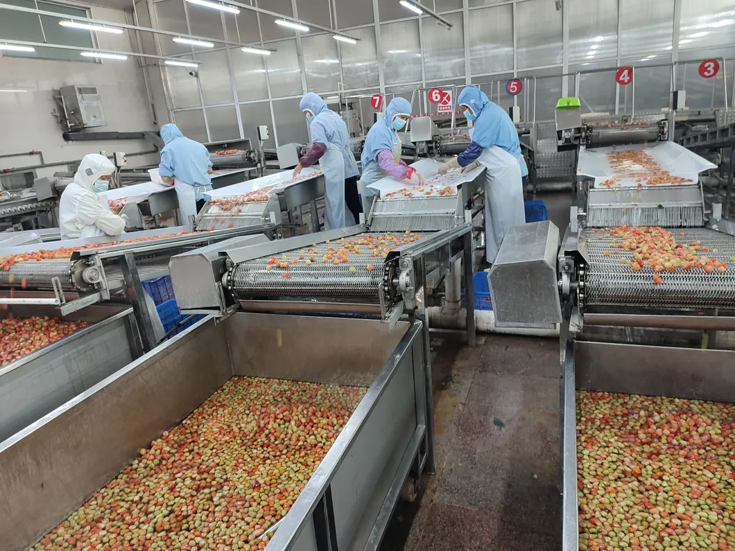 Top Quality Canned Fruit in Can Juicy Canned Strawberry