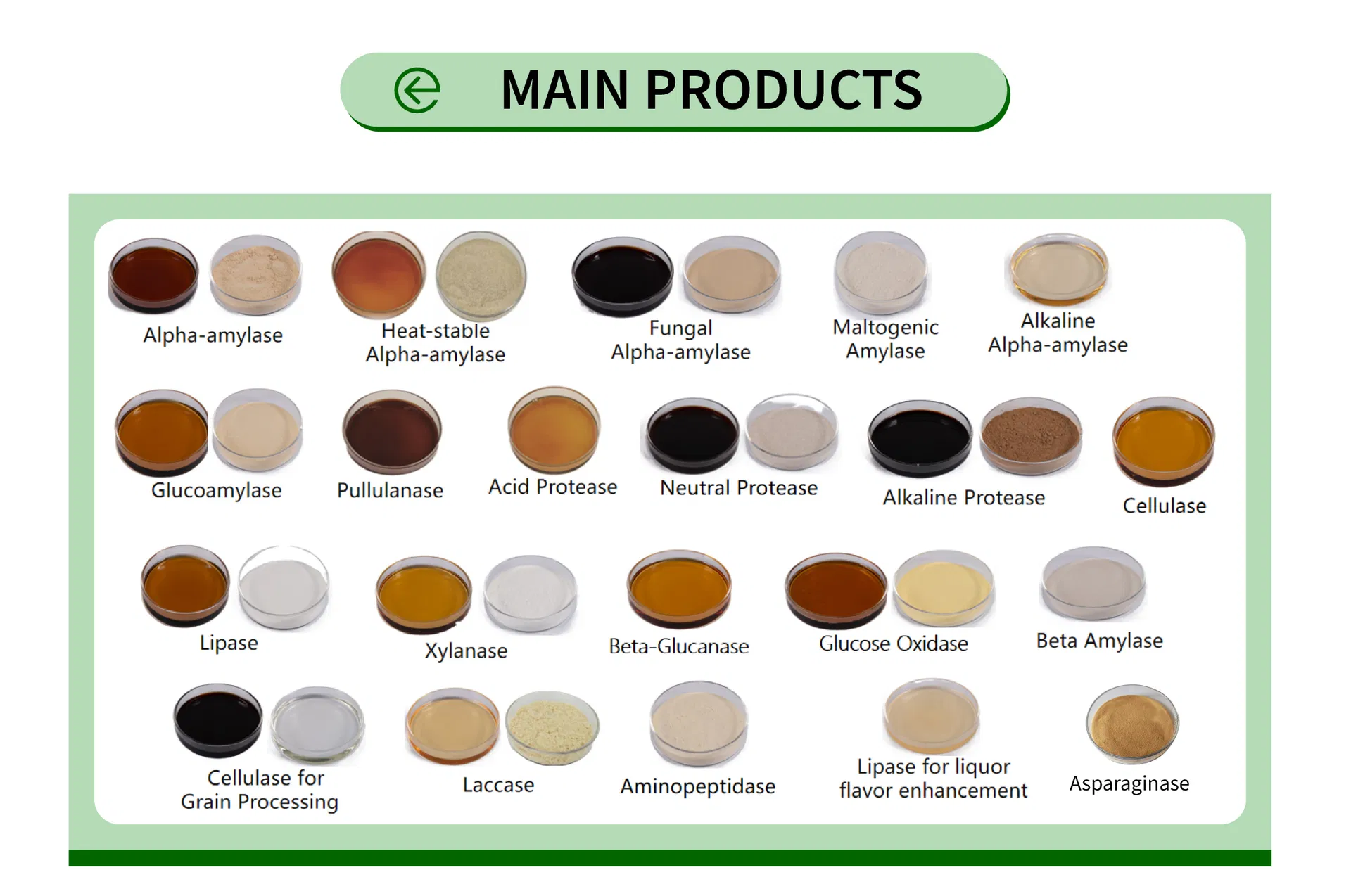 Low pH Heat Stable Alpha Amylase for Starch Sugar Production