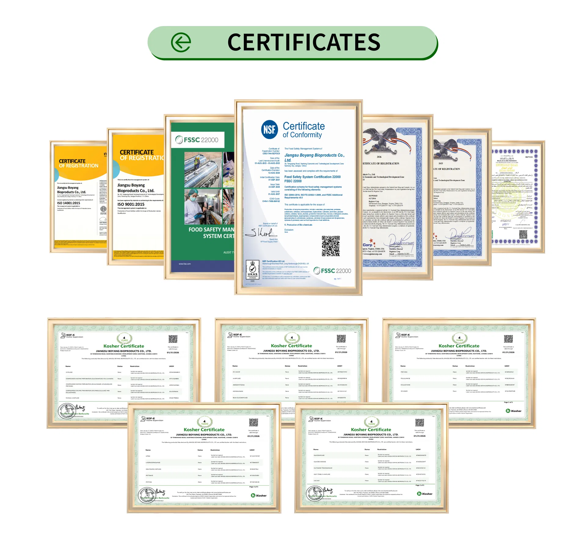 Low pH Heat Stable Alpha Amylase for Starch Sugar Production