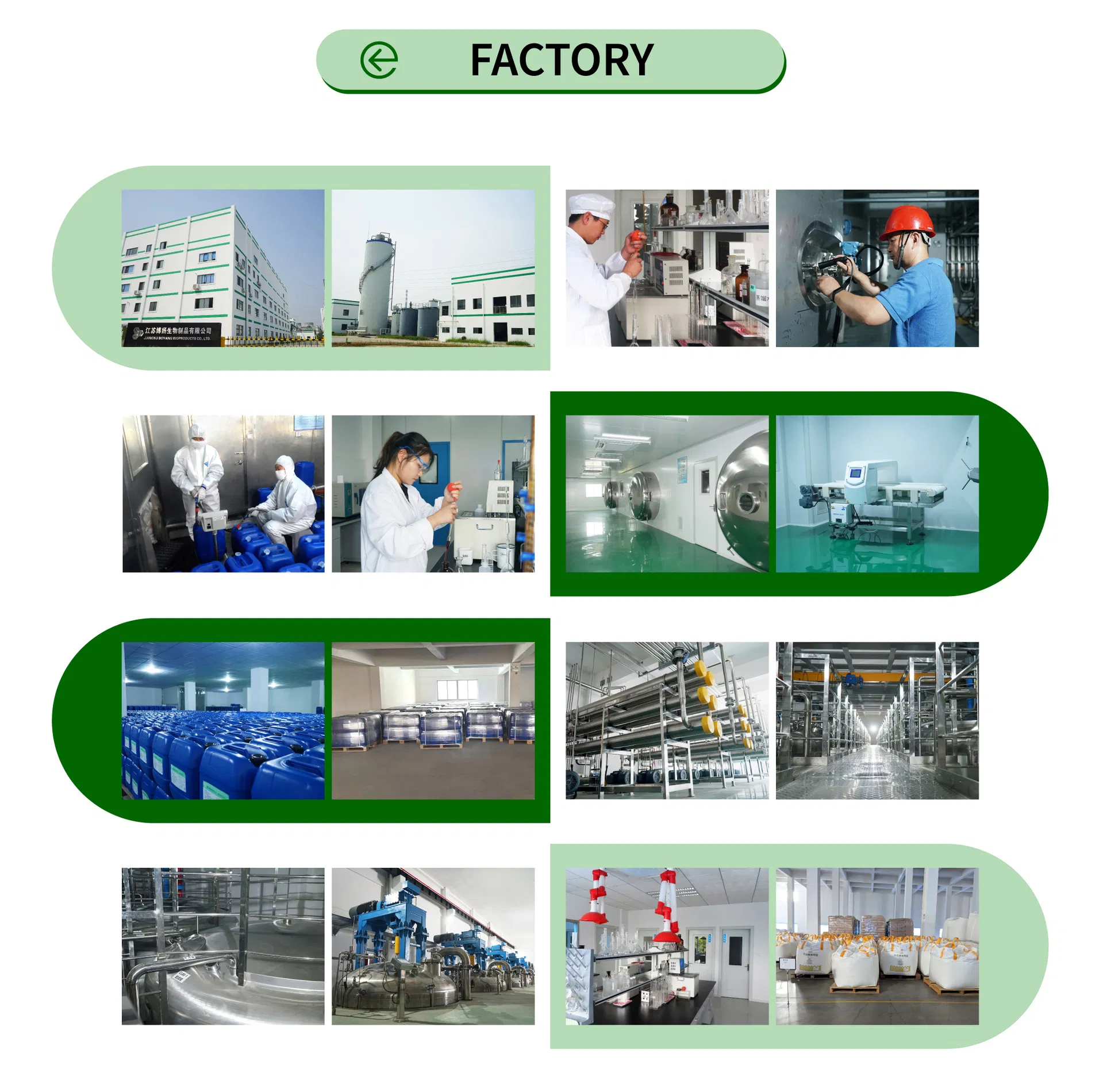 Low pH Heat Stable Alpha Amylase for Starch Sugar Production