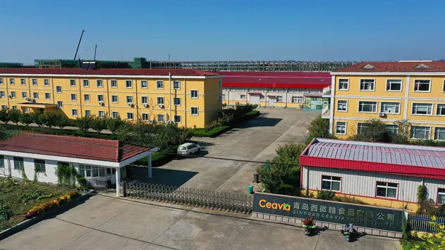 Chinese 100% Natural Dried Blueberries Fine-Cut