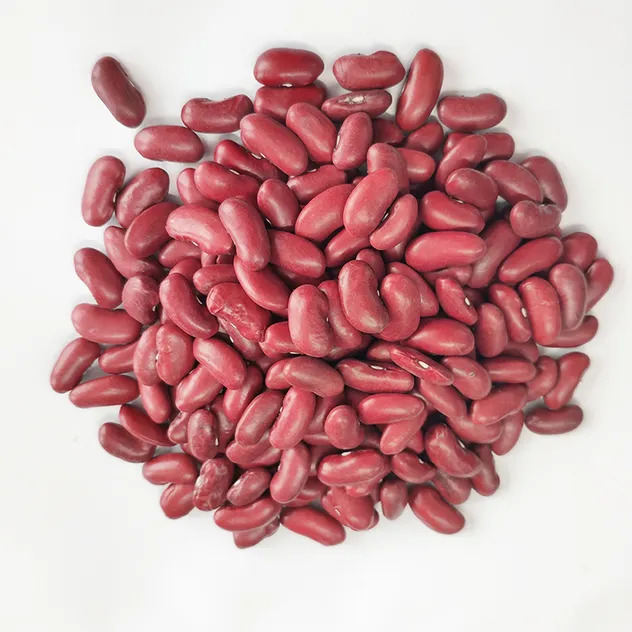 High Quality New British Dark Red Kidney Beans Long Shape Wholesale