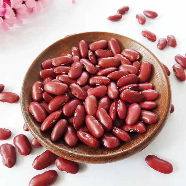 High Quality New British Dark Red Kidney Beans Long Shape Wholesale