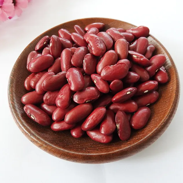 High Quality New British Dark Red Kidney Beans Long Shape Wholesale