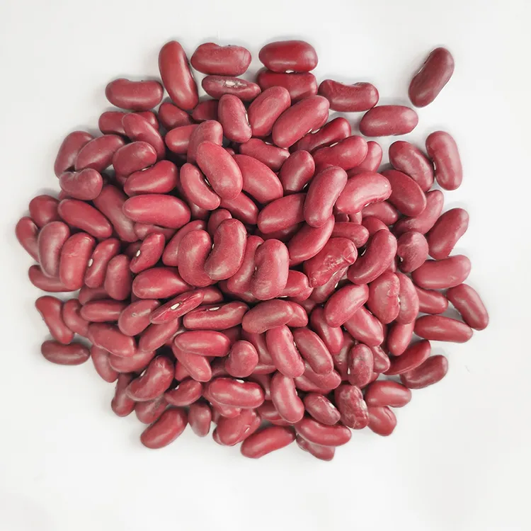 High Quality New British Dark Red Kidney Beans Long Shape Wholesale