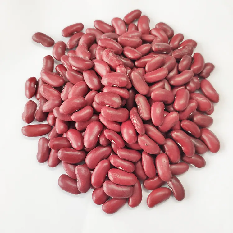 High Quality New British Dark Red Kidney Beans Long Shape Wholesale