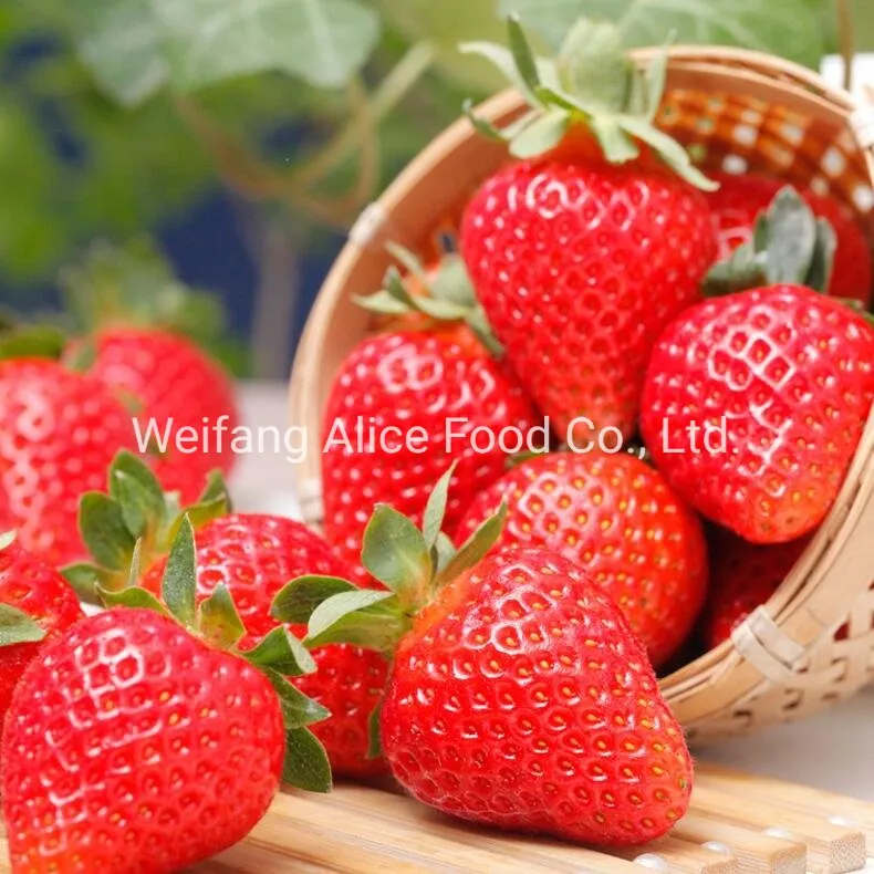China-Fruit-Dried-Fruit-Strawberry-Fruit Preserved Fruit Dried Strawberry