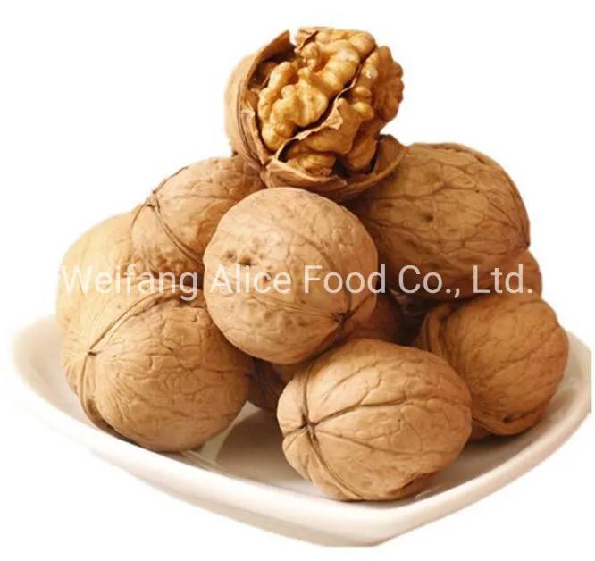 Wholesale Price Top Quality Walnut in Shell Paper Shell Walnut