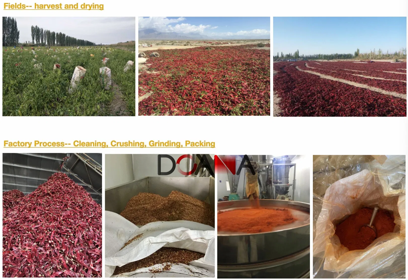 Natural Spice Chili Powder Manufacturer Sweet Paprika Hot Chilli Pepper