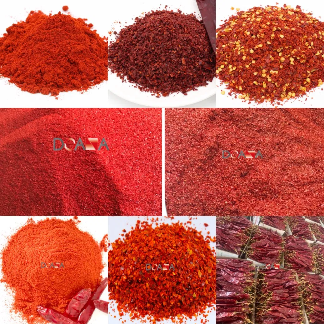 Natural Spice Chili Powder Manufacturer Sweet Paprika Hot Chilli Pepper