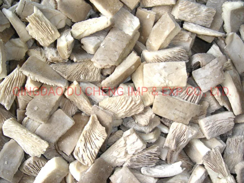 Frozen Oyster Mushroom Export