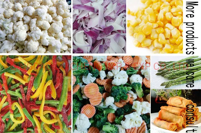 Frozen Oyster Mushroom Export