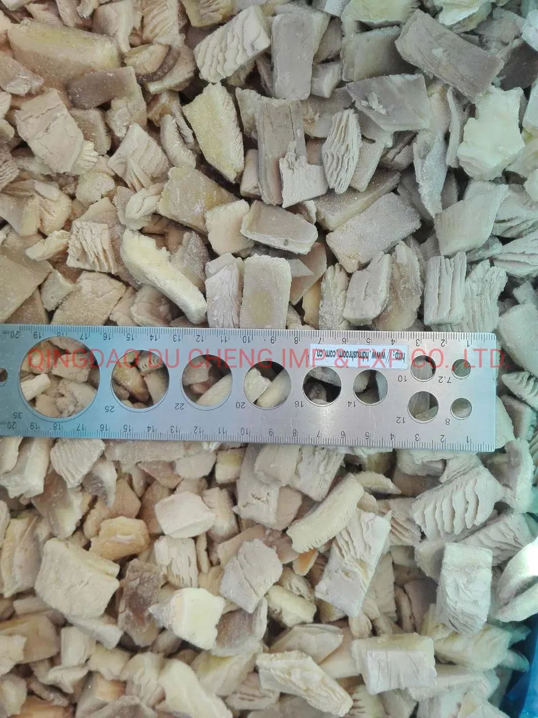 Frozen Oyster Mushroom Export