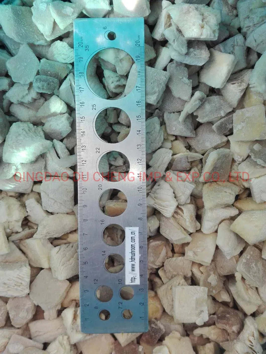 Frozen Oyster Mushroom Export
