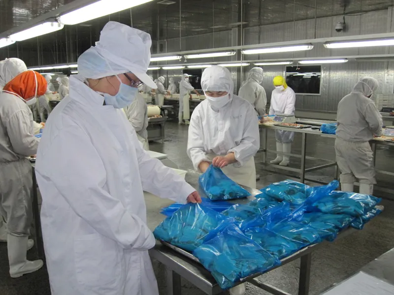 Halal Chicken Breast to Arabic Market