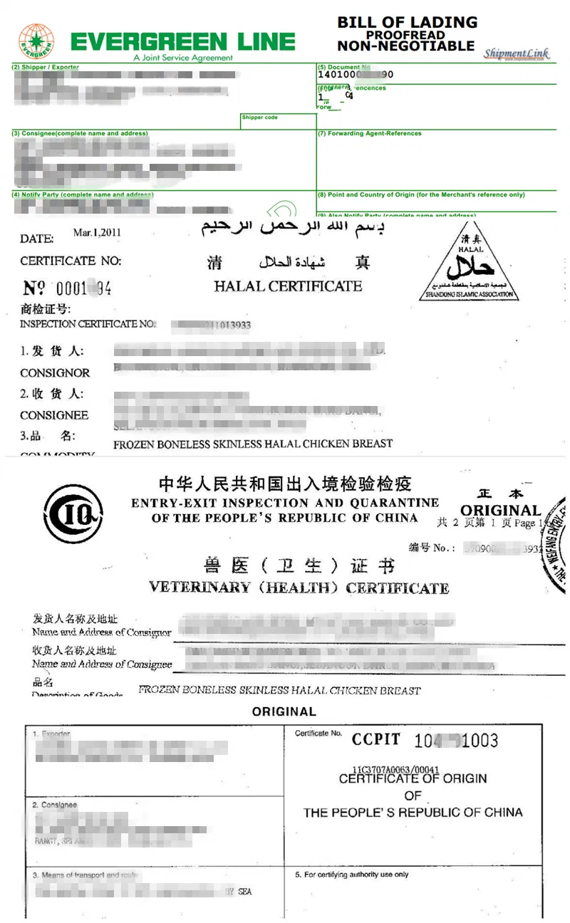 Halal Chicken Breast to Arabic Market