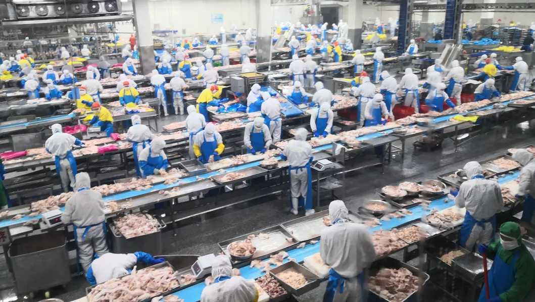 Halal Chicken Breast Fillet for Quick Meal Solutions