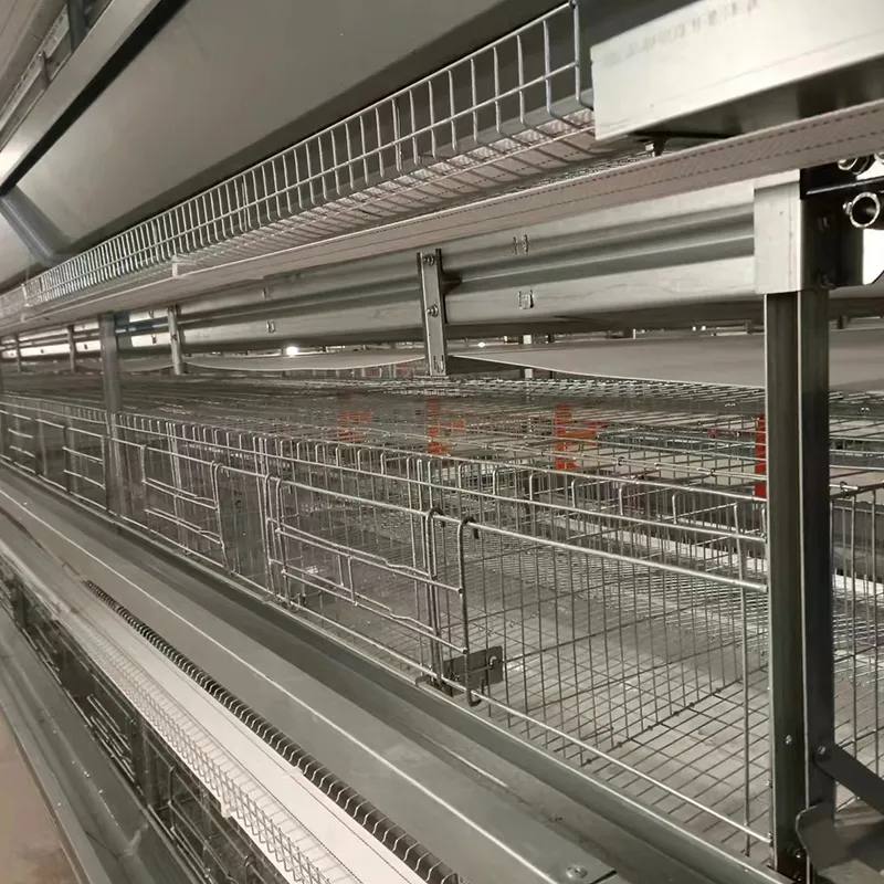 Premium H Frame Chicken Layer Cage with Automatic Feeding System