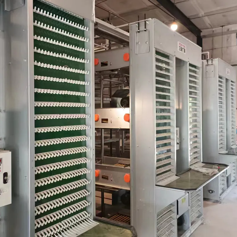 Premium H Frame Chicken Layer Cage with Automatic Feeding System