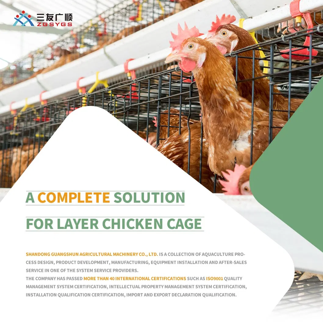 Premium H Frame Chicken Layer Cage with Automatic Feeding System