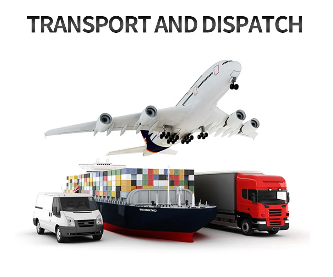 Premium H Frame Chicken Layer Cage with Automatic Feeding System