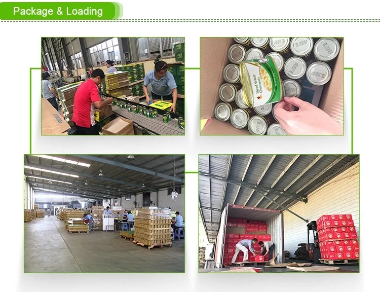 Healthy Delicious Wholesale Fresh Mixed Vegetables Instant Canned Food