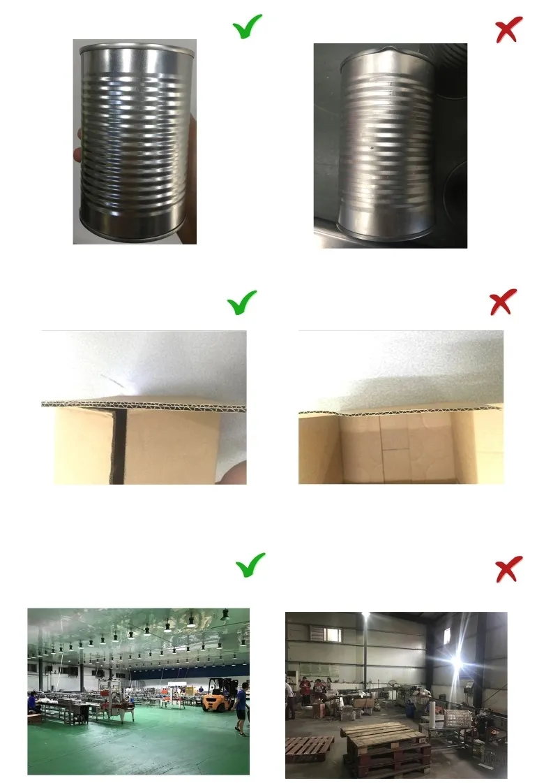 Chinese Factory High Quality 425g Canned Braised Peanut