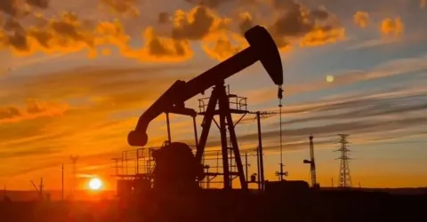 Potassium Humate Graular Shiny Ball Pure 100% Solubility