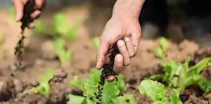 Potassium Humate Graular Shiny Ball Pure 100% Solubility