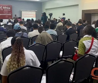 Potassium Humate Graular Shiny Ball Pure 100% Solubility