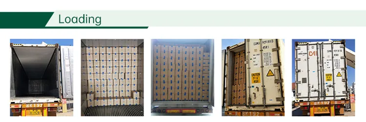 Sinocharm BRC a Approved IQF Garlic Factory Bulk 10kg Wholesale Price Whole Frozen Peeled Garlic in Cartons