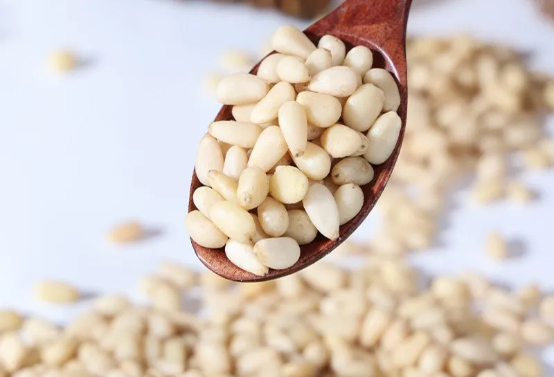 Pine Nut Kernel Pinus Sibirica Pinus Cedar