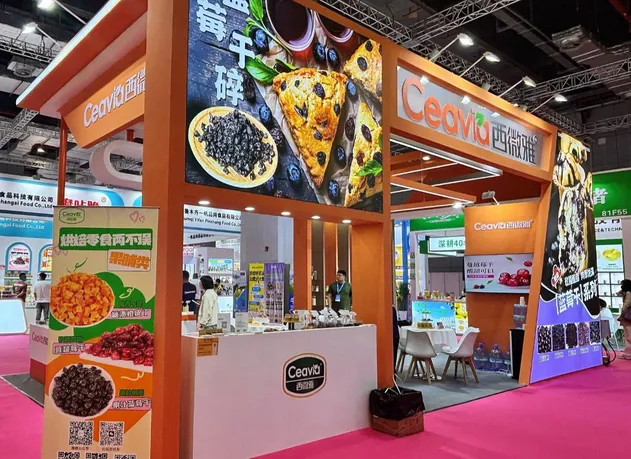 Pine Nut Kernel Pinus Sibirica Pinus Cedar