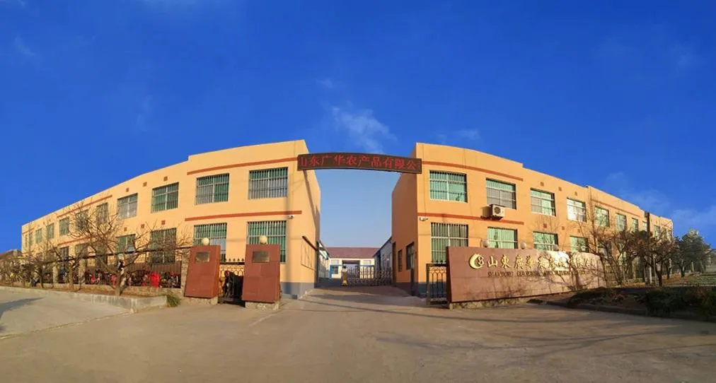 Delicious and Healthy Dried Cherry Apple