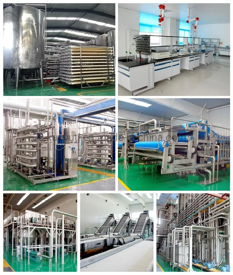 Concentrate Apple Juice Beverage with High Quality