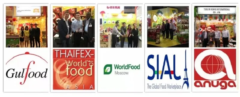 Concentrate Apple Juice Beverage with High Quality