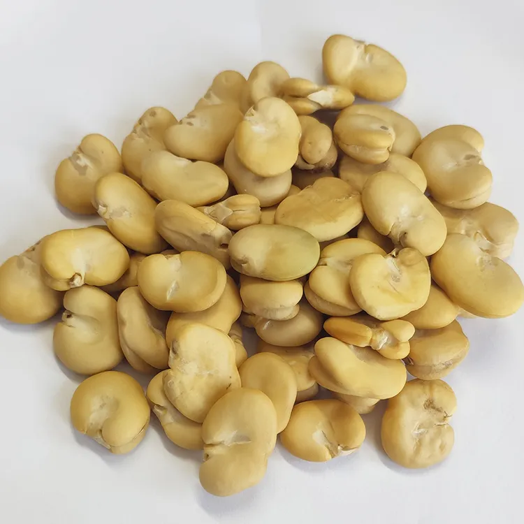 Peeled Whole Broad Beans Peeled by Hand Wholesale
