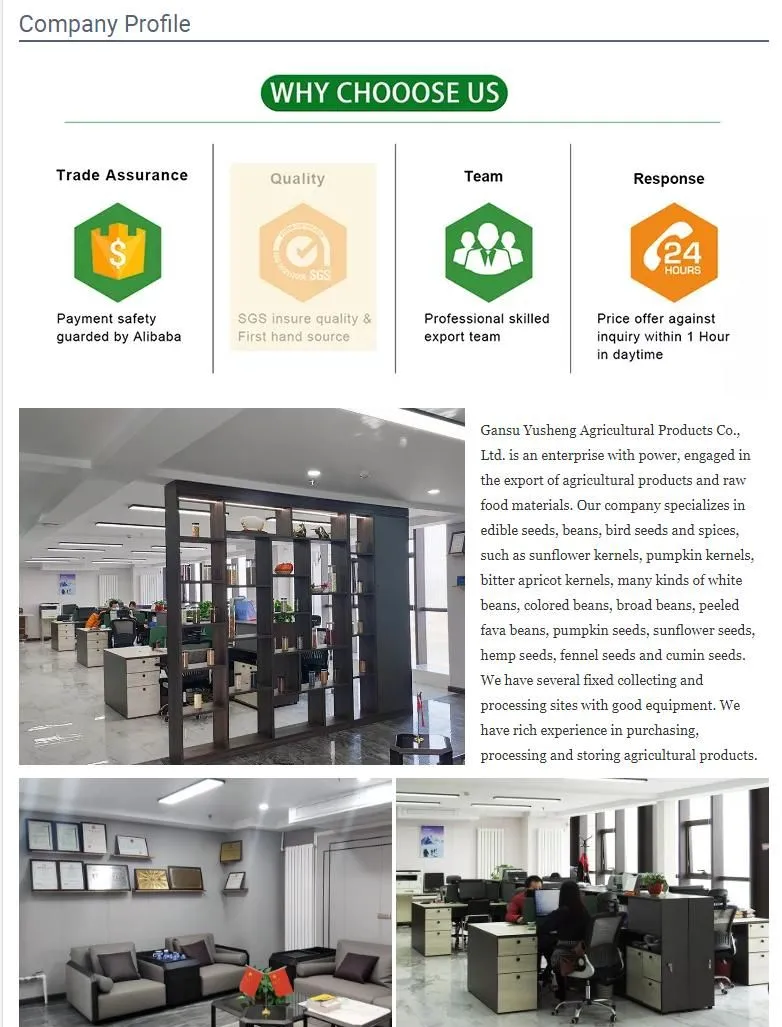 Peeled Whole Broad Beans Peeled by Hand Wholesale