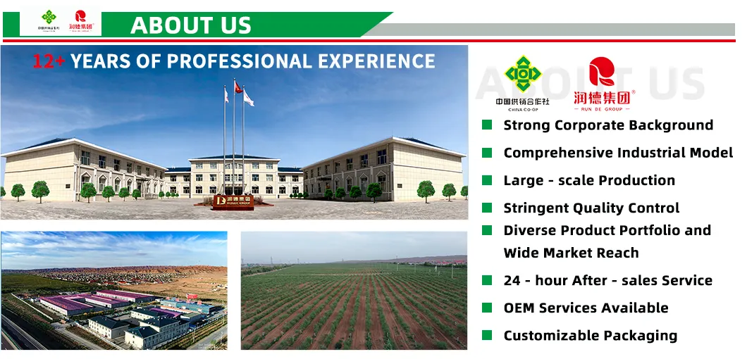 Healthy Dried Goji Berry Options for Everyday Wellness Needs