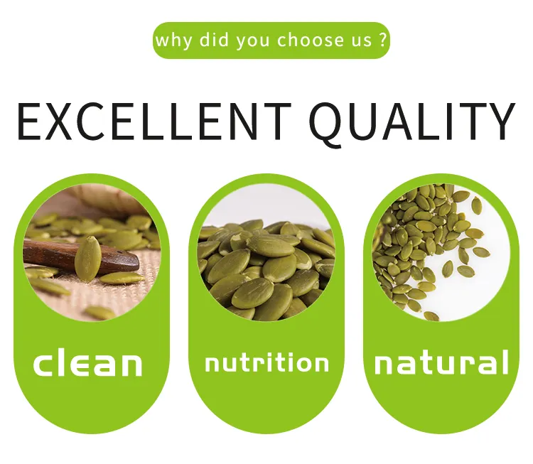 China AA Green Pumpkin Seed Kernels in Wholesale Sales